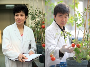 Professor Chye Mee-len (left) and Dr Liao Pan