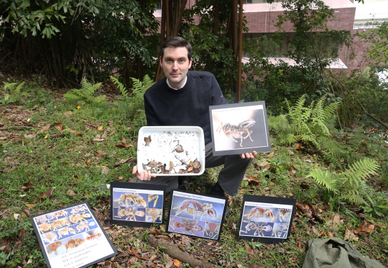 Dr Benoit Guénard from the School of Biological Sciences of the University of Hong Kong