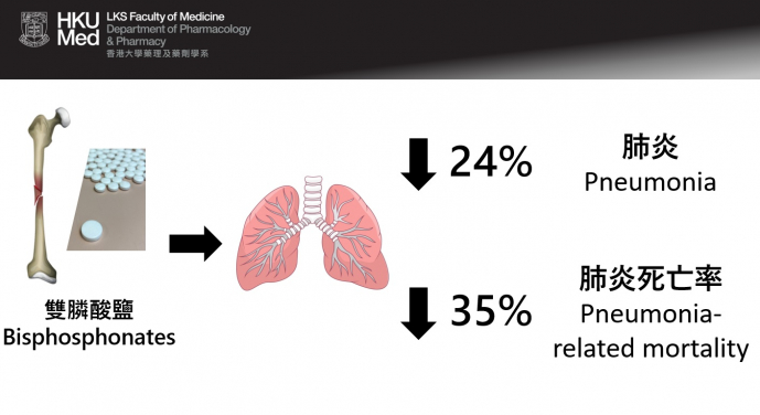 服用雙磷酸鹽類藥物的患者之肺炎發生率，較沒有服藥的患者低24%。同時，因肺炎死亡的風險，服藥患者更較沒有服藥者減少35%。