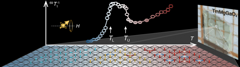 Figure 1. NMR spin-lattice relaxation rate measurement of quantum magnet TMGO reveals the topological KT phase as the plateau between T_L and T_U.

 