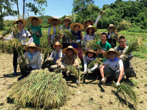 University staff, villagers, farmers, volunteers and NGO members work together to revitalise rural villages.